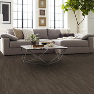 PRIMAL-54964-INDIGENOUS-00200-room-image