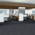 PRIMAL-54964-INNATE-00400-room-image