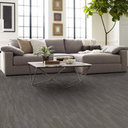 PRIMAL-54964-BELONGING-00500-room-image