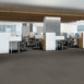 NOVELTY-54965-INGENIOUS-65505-room-image