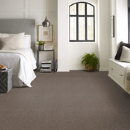 FORGE-54968-PLAN-00700-room-image
