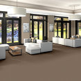 PROFUSION-26-54969-AMPLE-00230-room-image