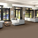 PROFUSION-26-54969-AMPLE-00230-room-image