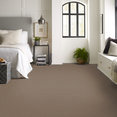 PROFUSION-26-54969-AMPLE-00230-room-image