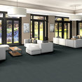 PROFUSION-26-54969-ARRAY-00410-room-image