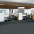 PROFUSION-26-54969-ARRAY-00410-room-image