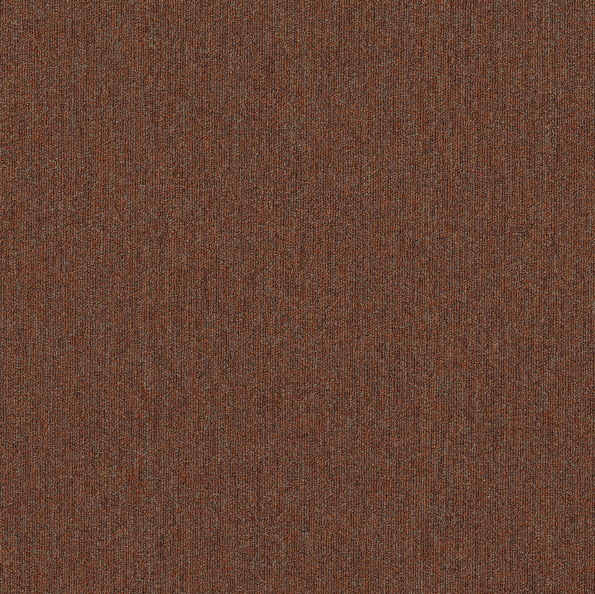 Profusion 26-Surplus-54969_00600