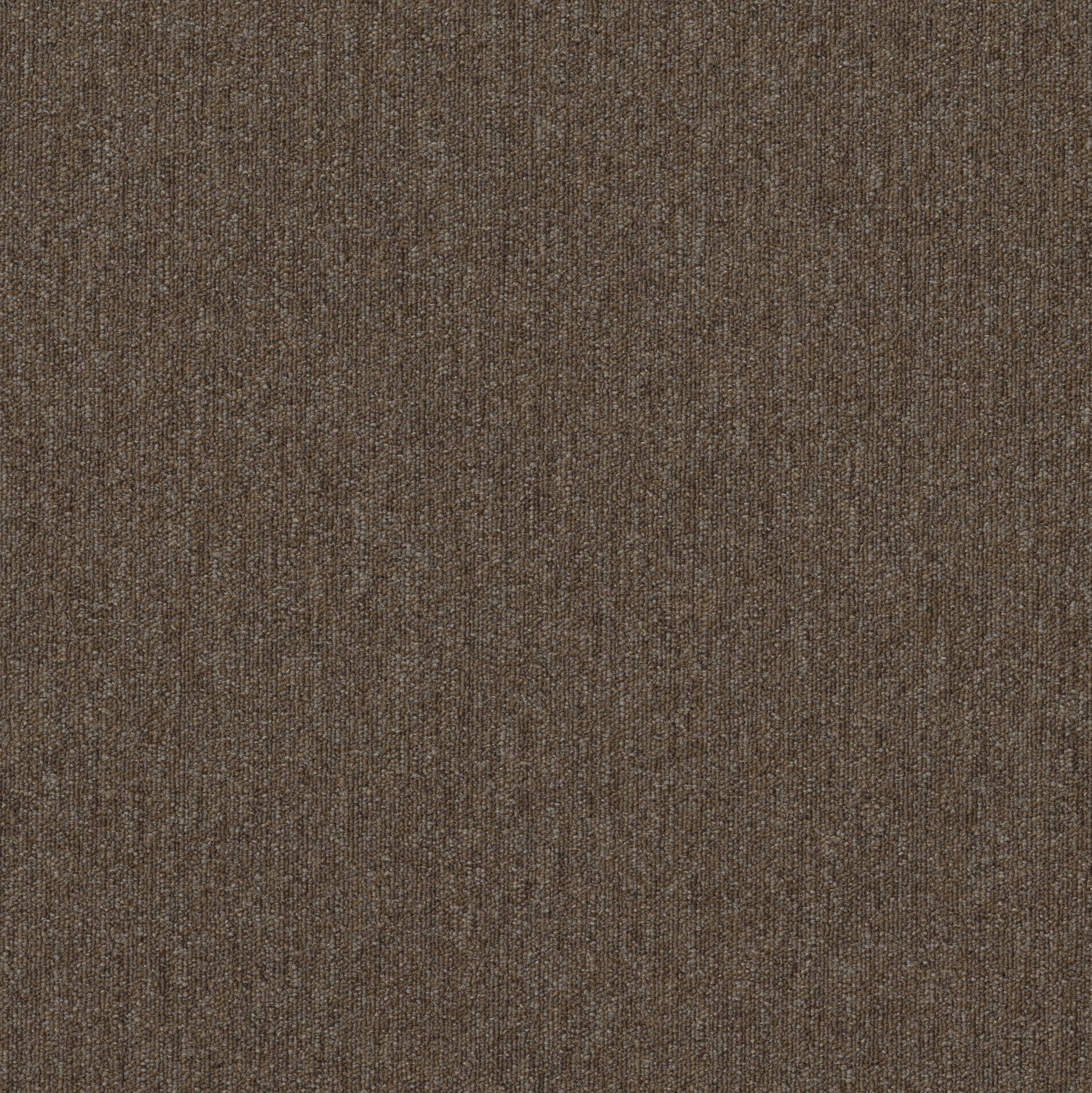 Profusion 26-Heaps-54969_00700