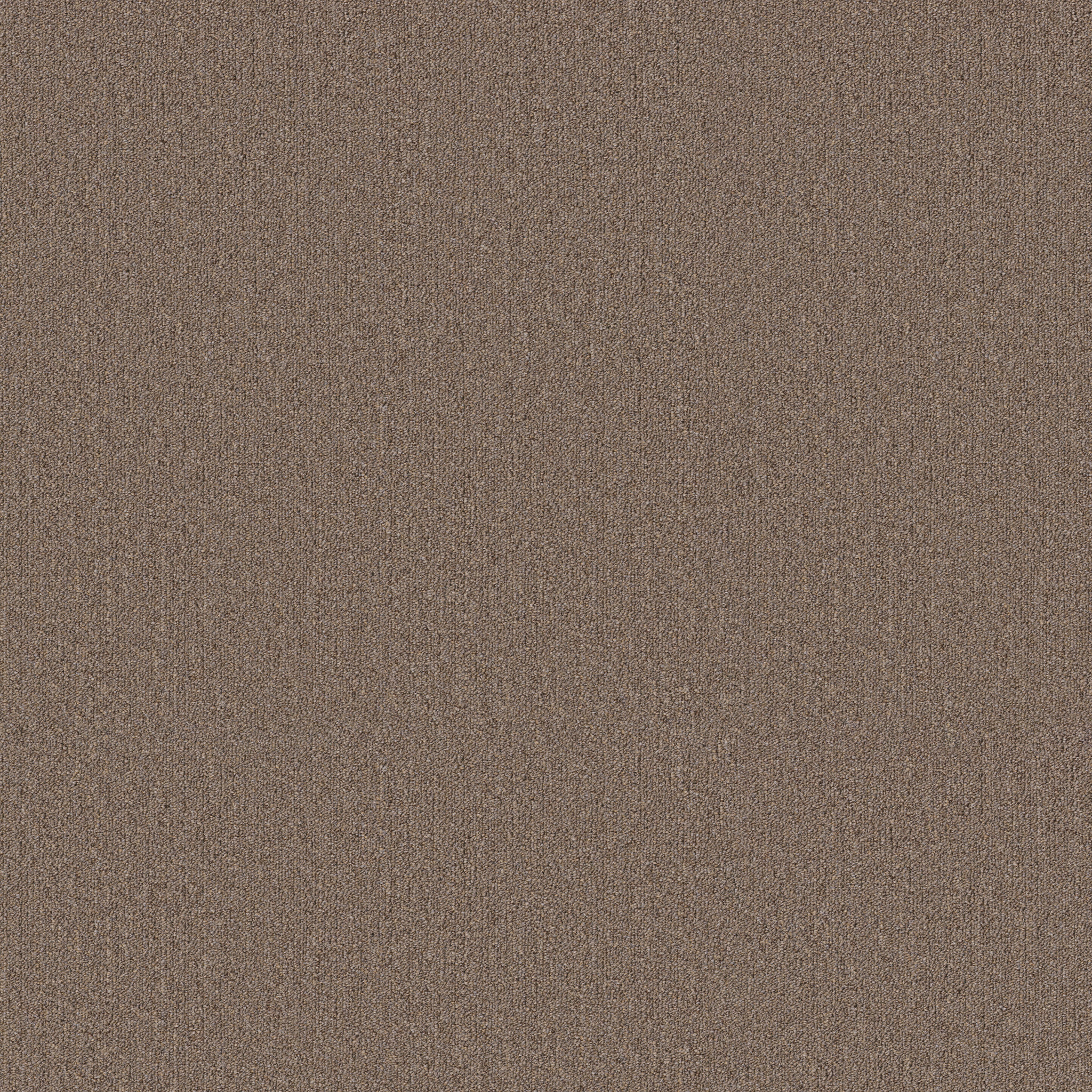 Profusion 26-Excess-54969_00730