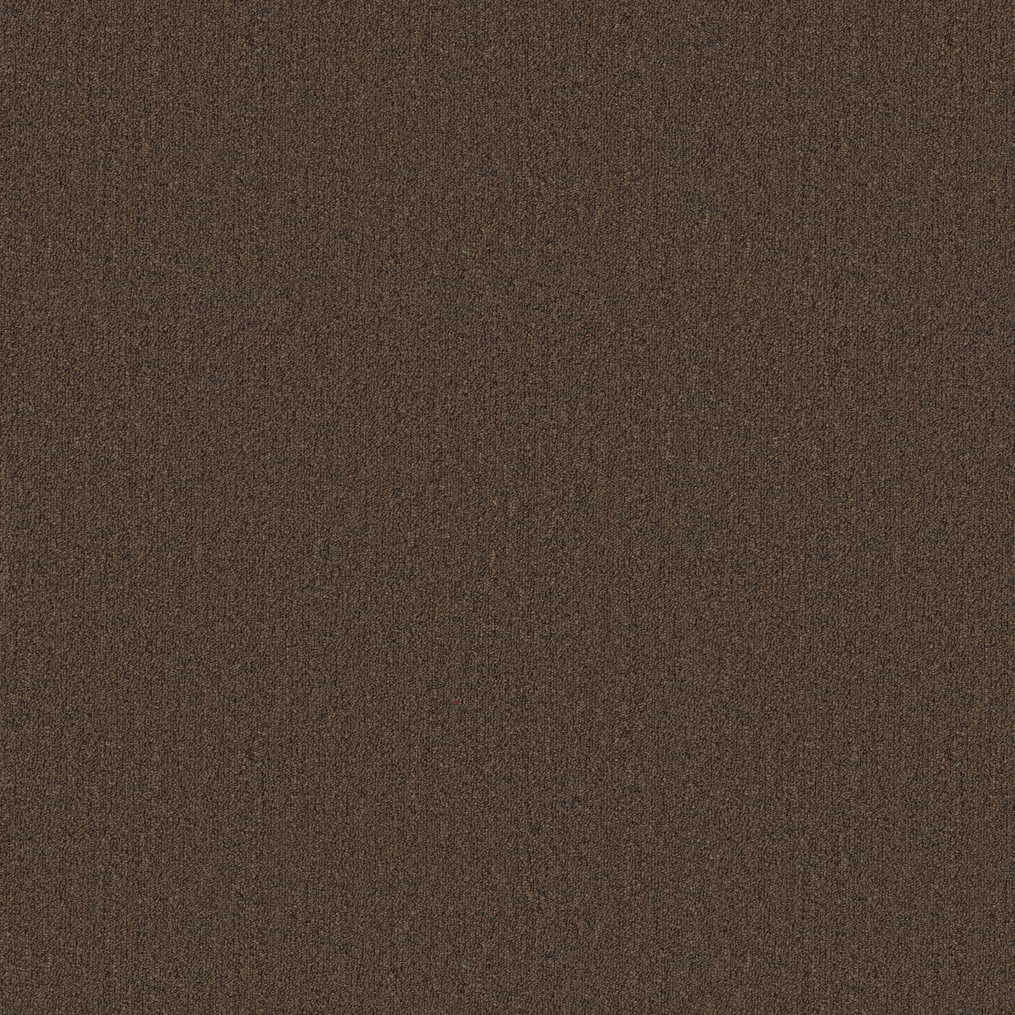 Profusion 26-Overflow-54969_00735