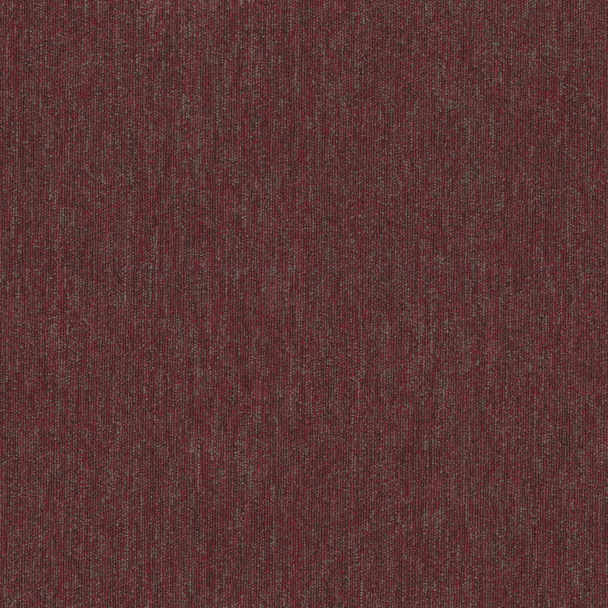 Profusion 26-Gobs-54969_00800