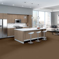 READAPT-54970-EVOLVE-00200-room-image