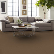READAPT-54970-EVOLVE-00200-room-image