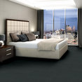 READAPT-54970-CONNECT-00300-room-image