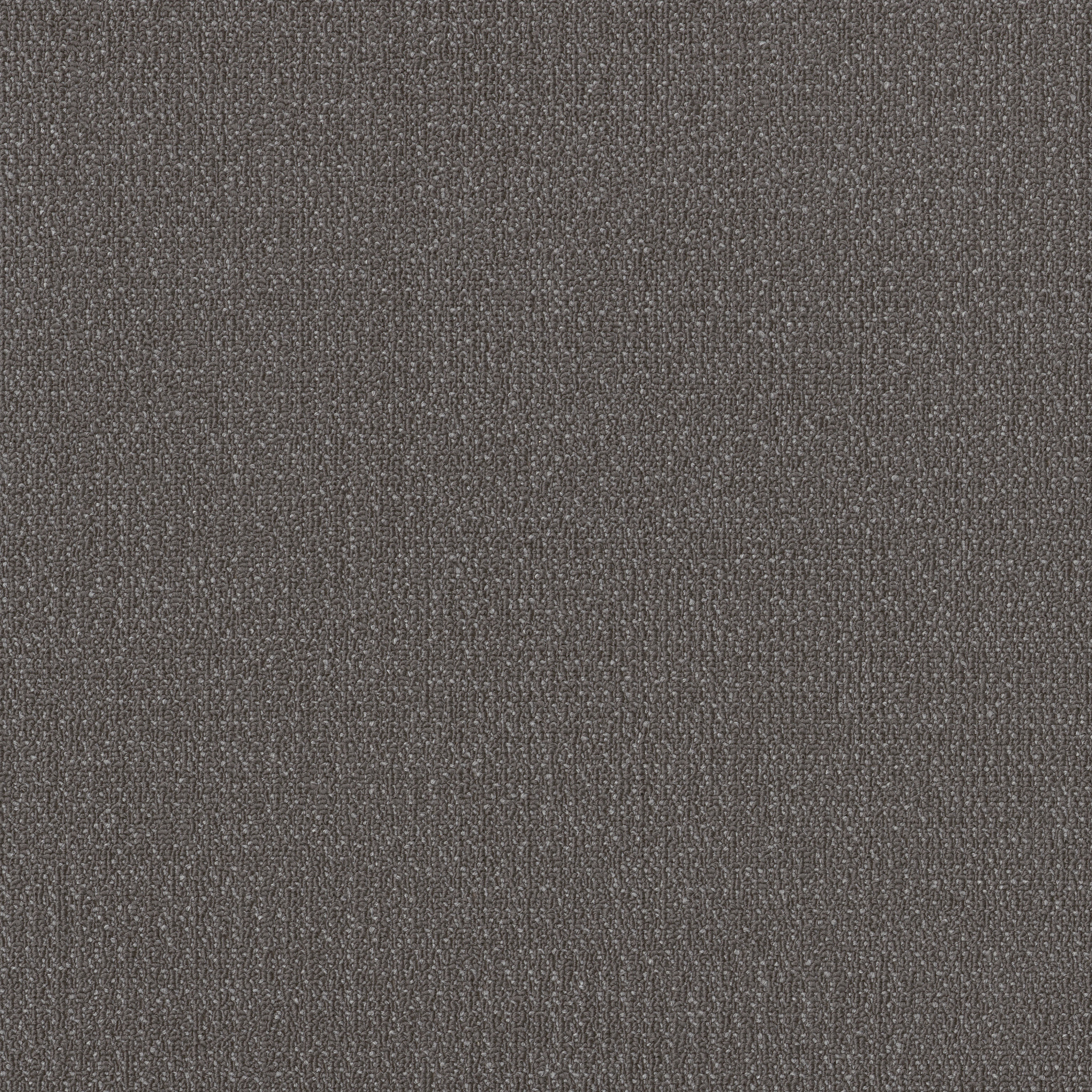 Readapt-Compose-54970_00500