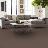 READAPT-54970-CONFORM-00800-room-image