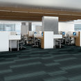 REALIGN-54971-CONNECT-00300-room-image