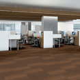 REALIGN-54971-CREATE-00600-room-image