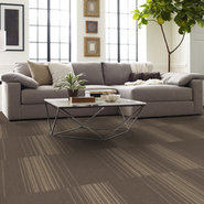 REALIGN-54971-SHIFT-00700-room-image