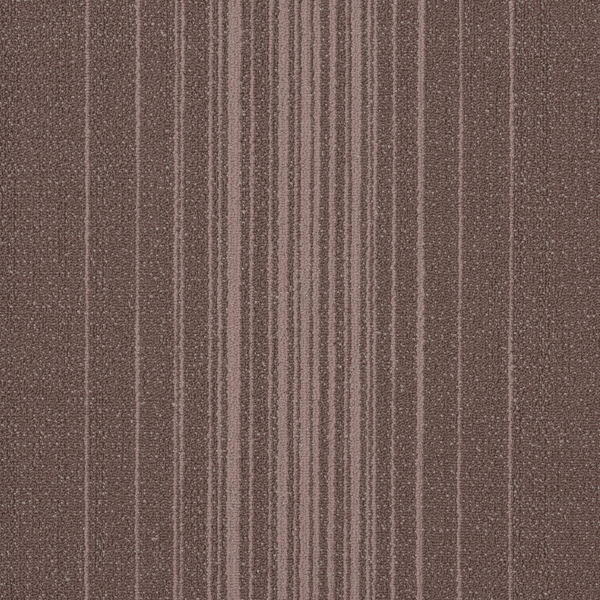 Realign-Conform-54971_00800