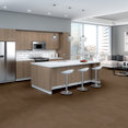 REEMERGE-54972-EVOLVE-00200-room-image