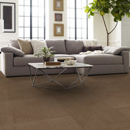 REEMERGE-54972-EVOLVE-00200-room-image