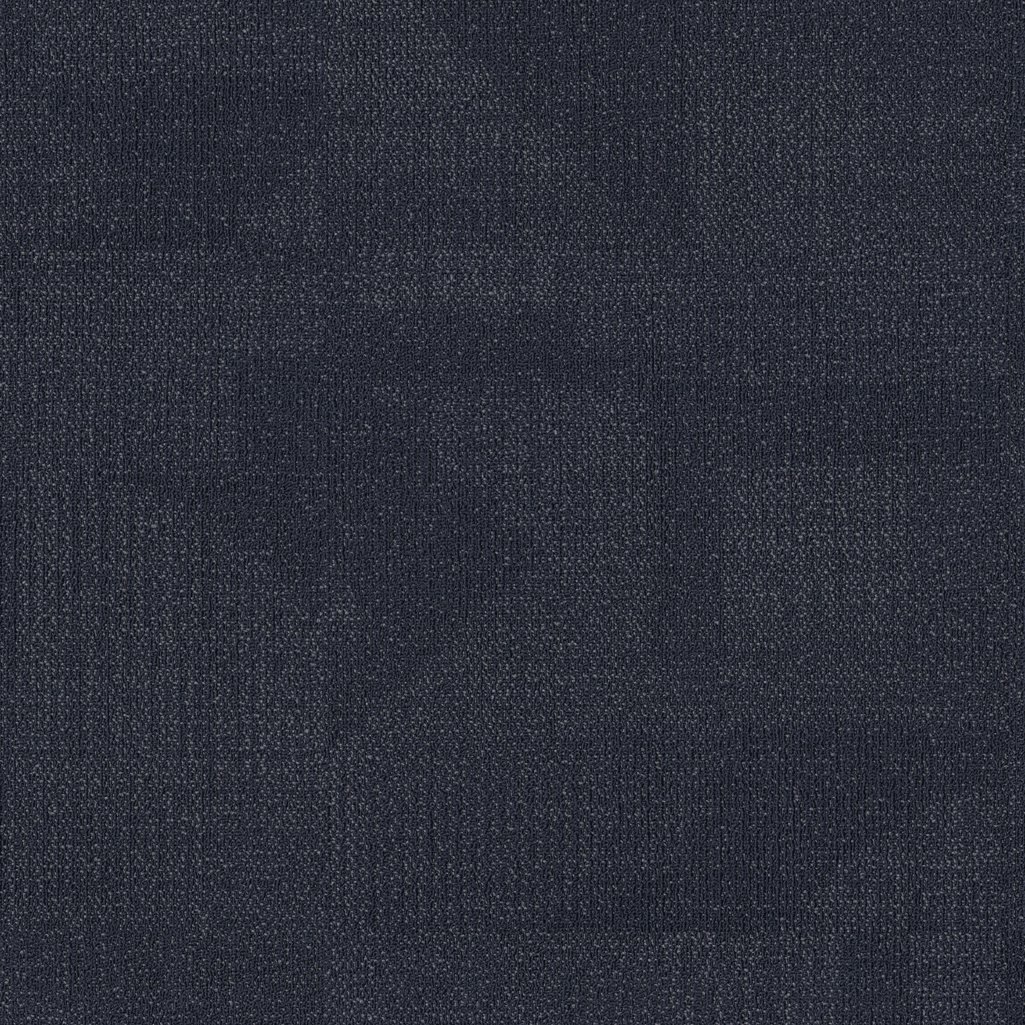 Reemerge-Morph-54972_00400