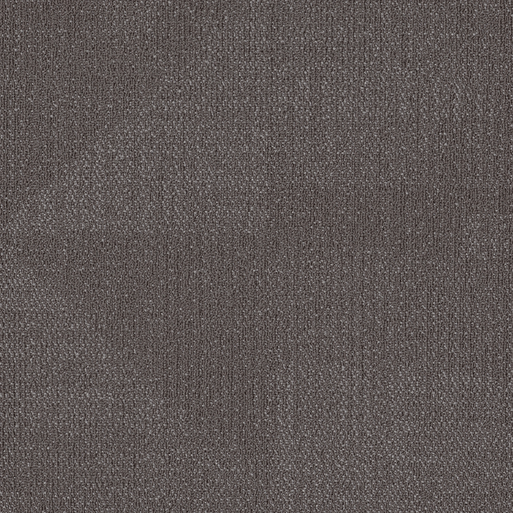 Reemerge-Compose-54972_00500