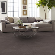 REEMERGE-54972-MATURE-00710-room-image