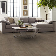 ASCENSION-54973-REWORK-00208-room-image