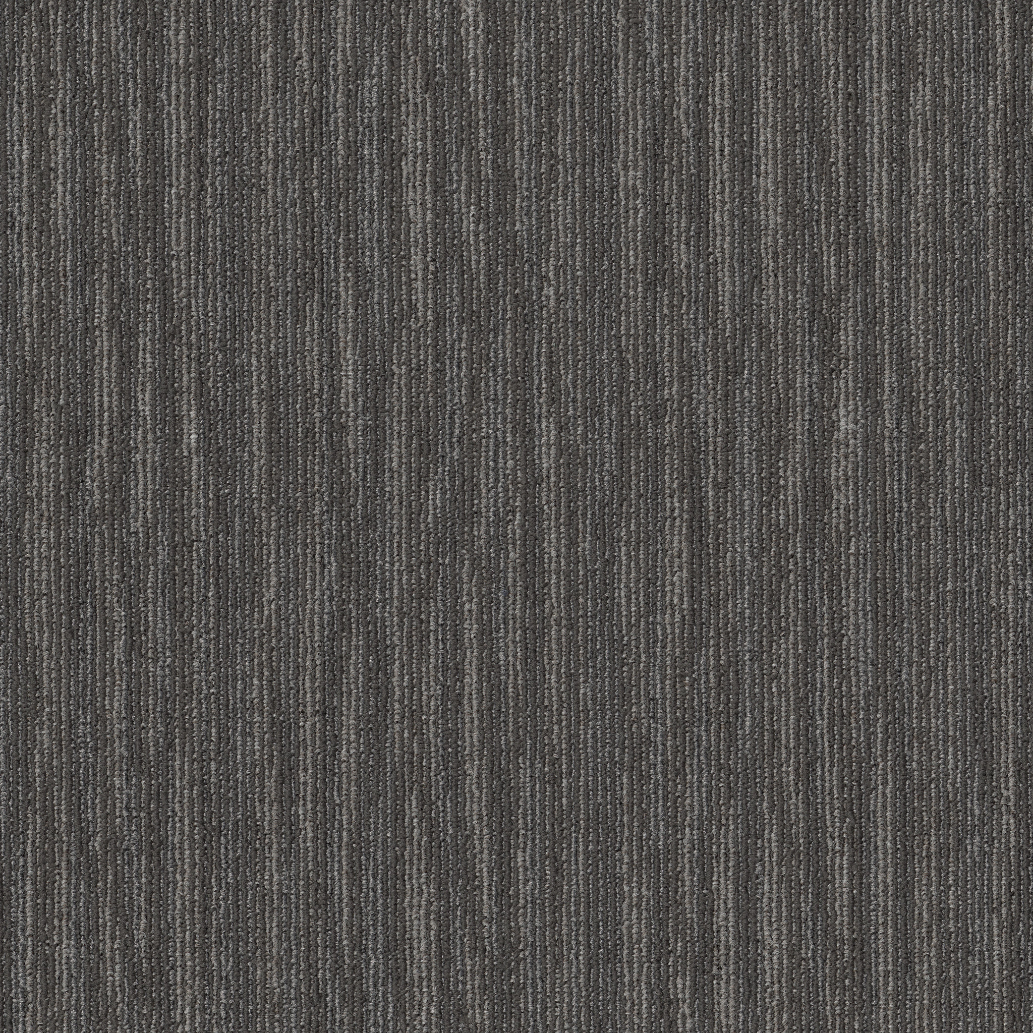 Mend-Feathered-54978_00500