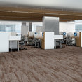 INTERFUSE-54979-ENTWINE-00706-room-image