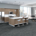INTERMINGLE-54981-SPLENDOR-00404-room-image