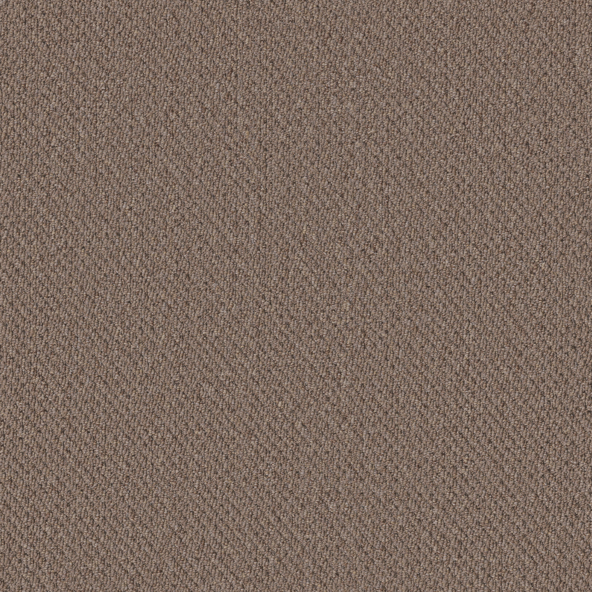 Prospect-Promise-54983_83108