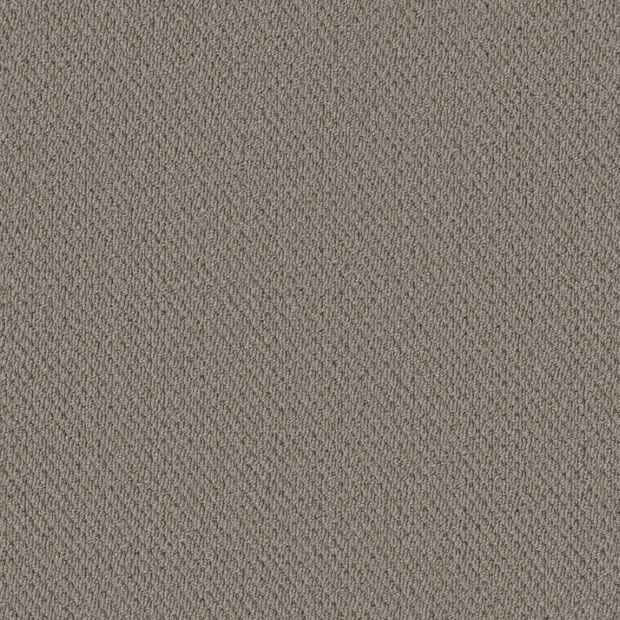 Prospect-Perspective-54983_83501