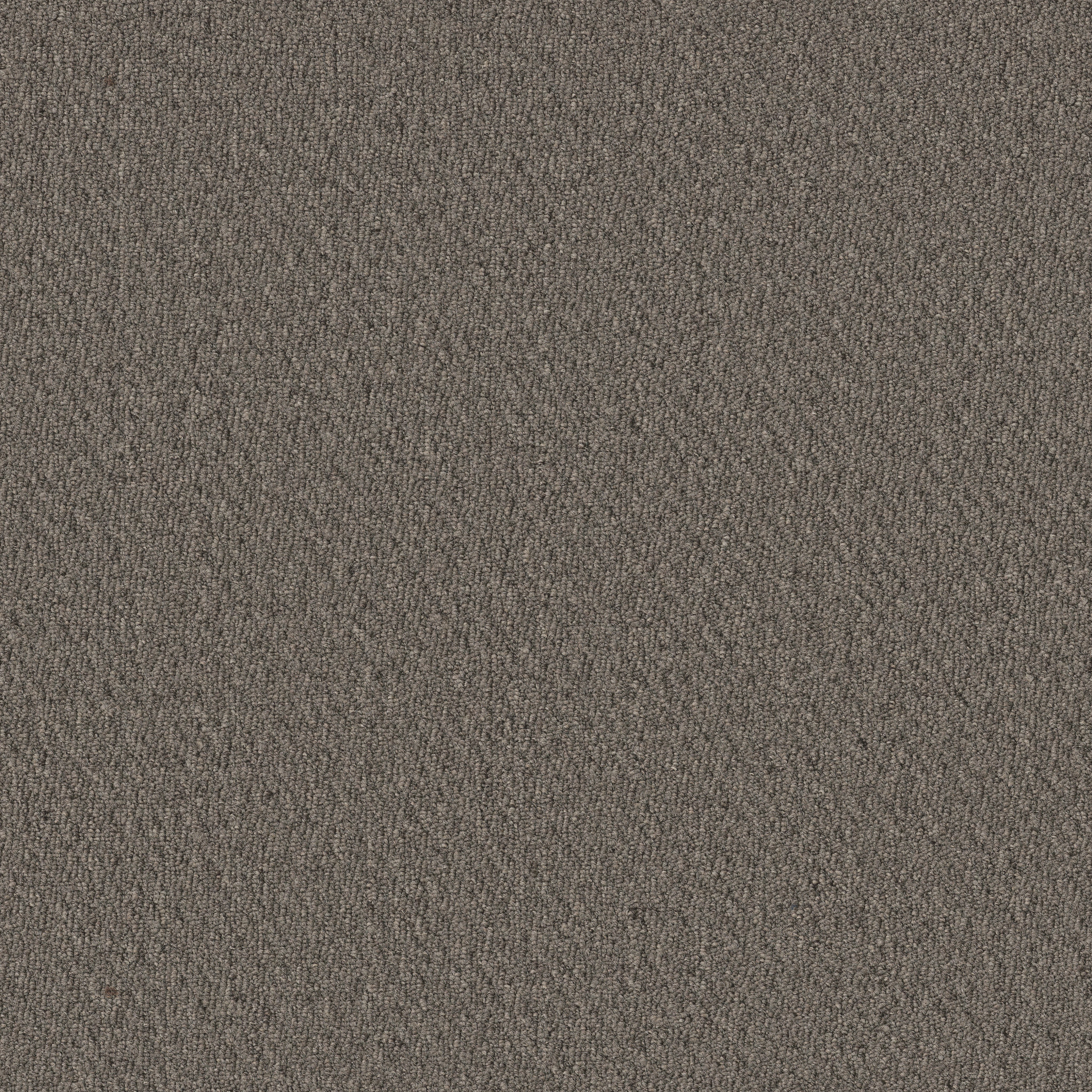 Prospect-Opportunity-54983_83505