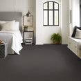 PROSPECT-54983-POSSIBILITY-83540-room-image