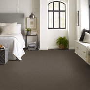 PROSPECT-54983-CHANCE-83708-room-image