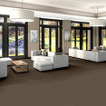 SMALL-WONDER-54984-SPECIAL-84205-room-image
