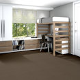 SMALL-WONDER-54984-SPECIAL-84205-room-image