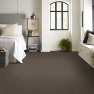 SMALL-WONDER-54984-FASCINATE-84708-room-image