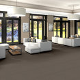 FREE-PRESS-54985-NEWS-00204-room-image