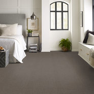 FREE-PRESS-54985-NEWS-00204-room-image