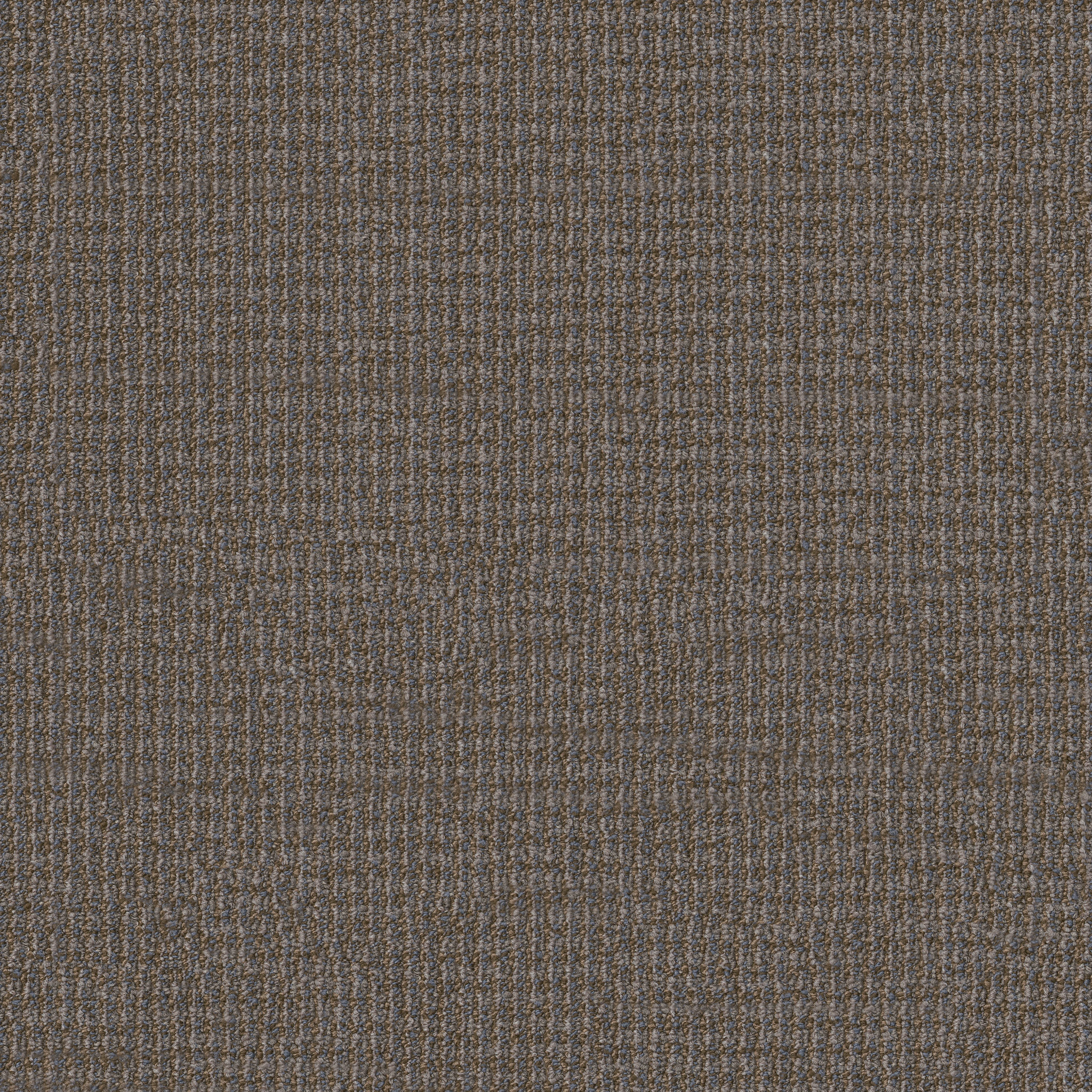 Free Press-News-54985_00204