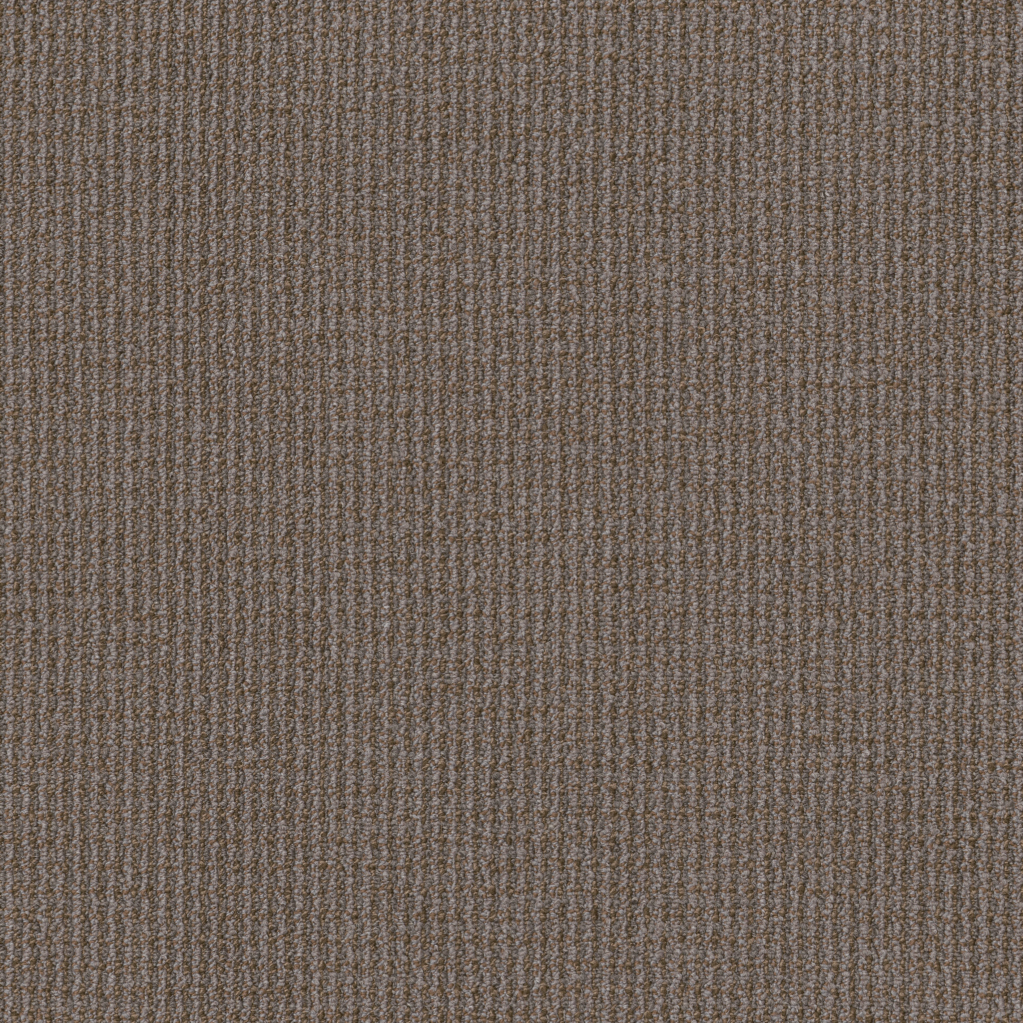 Free Press-Media-54985_00206