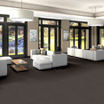 FREE-PRESS-54985-RELEASE-00710-room-image