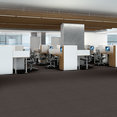 FREE-PRESS-54985-RELEASE-00710-room-image