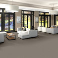 AVENUE-54989-MADISON-00100-room-image