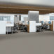 AVENUE-54989-LINDEN-00503-room-image