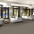 PRELUDE-54990-OVERTURE-00204-room-image